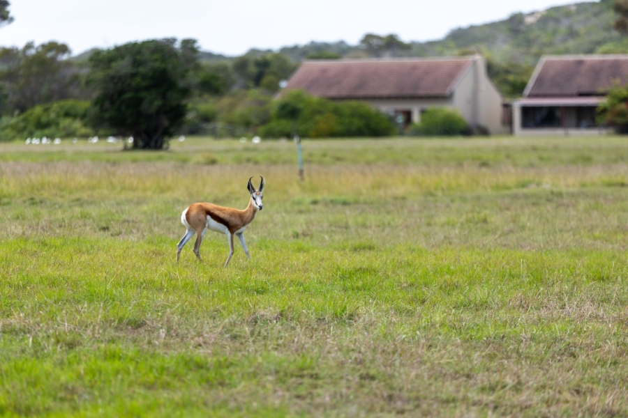 3 Bedroom Property for Sale in Keurbooms River Western Cape